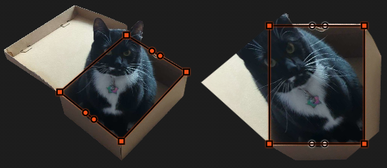 demonstration of the tool with image of tuxedo cat sitting in a box. left hand side is original, right hand side is distorted so that the opening of the box is a axis-aligned rectangle on the screen.