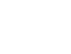 left car cat