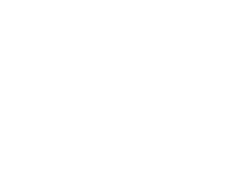 right car cat