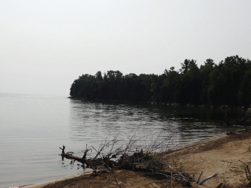 beach and woods on lake michigan's shore, white sky