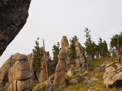 big tall vaguely phallic rocks. also scraggly trees