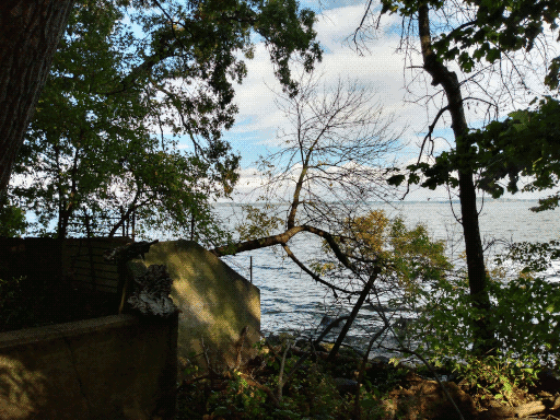concrete structure of uncertain purpose on the lake edge in the woods