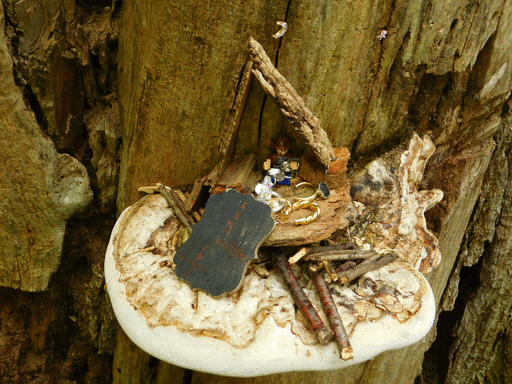 Shrine for a lego pirate minifigure constructed of fungal chunks and sticks on top of a large shelf fungus. Some plasticky looking gold and crystal loot is scatttered about the floor fungus chunk around the pirate. Resting on the shrine structure is a wooden plaque, painted black, engraved with a compass rose, the word WARNING, and the letters U N K V upside-down vertically.